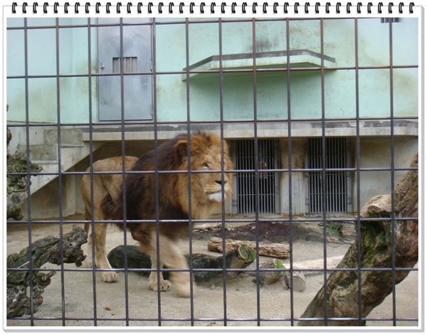 318_京都動物園.JPG