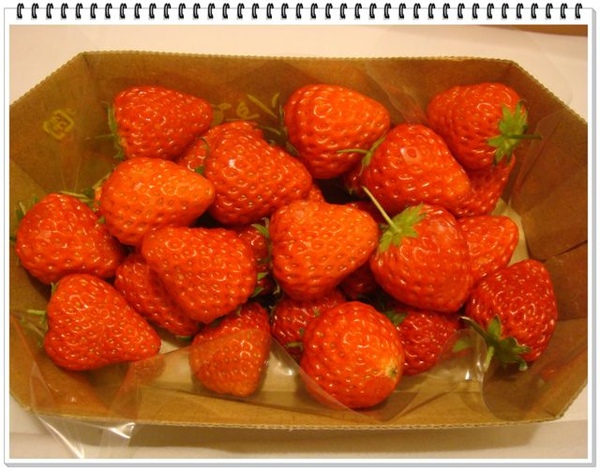 330_超市買的草莓.JPG