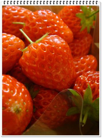 331_超市買的草莓.JPG