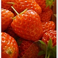 331_超市買的草莓.JPG