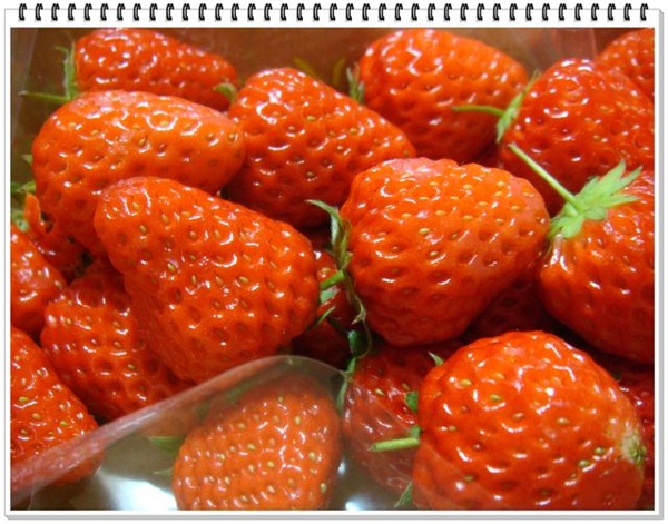 332_超市買的草莓.JPG
