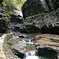 Watkins Glen