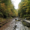 Watkins Glen