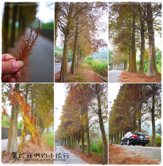 桂林村 桂林村