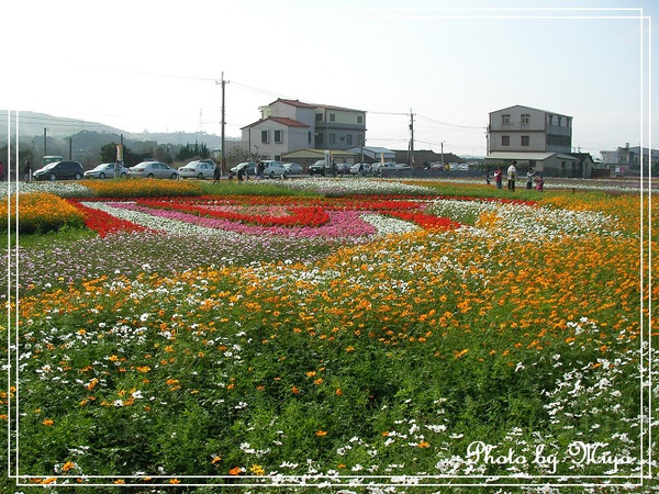 通宵花海SANY0528.jpg