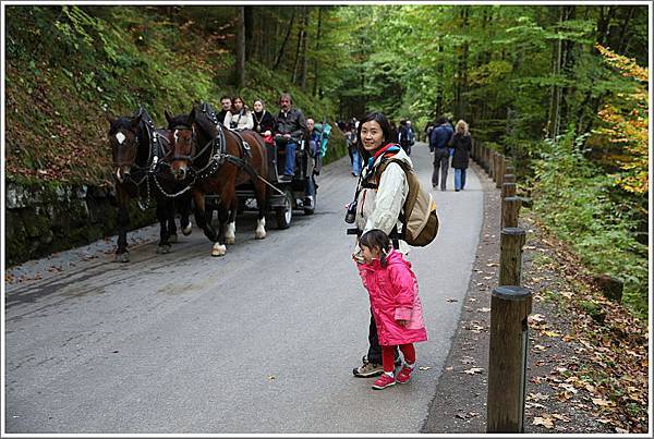 好多人都會選擇坐馬車,票價上山比下山貴