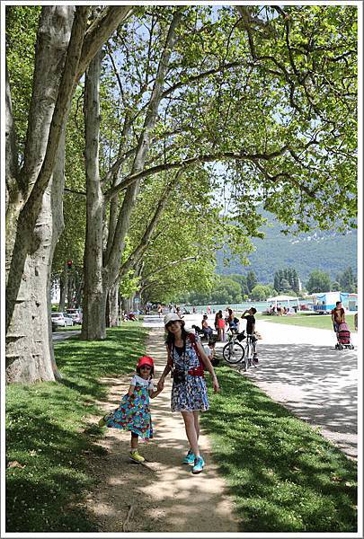 Annecy，喜歡法國的大樹！