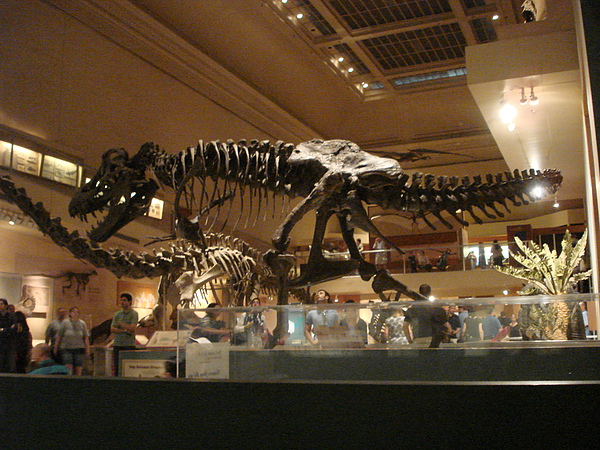 Ｓmithsonian dinosaur