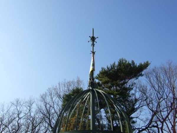 DSCF2528