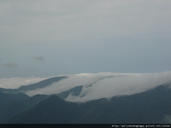 往阿里山路上漂亮的雲海.png