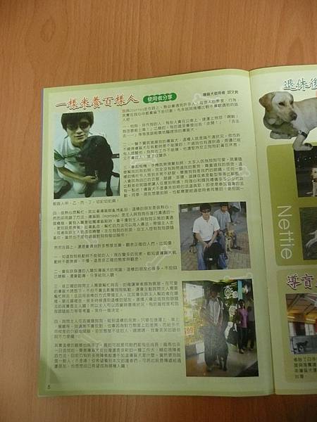 taiwan guide dog.JPG