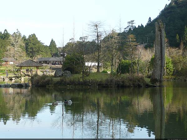 Day 2-18 明池全景.JPG