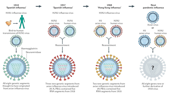 pandemic disease.bmp