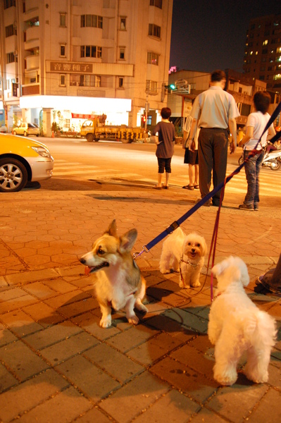 DSC_9371.JPG