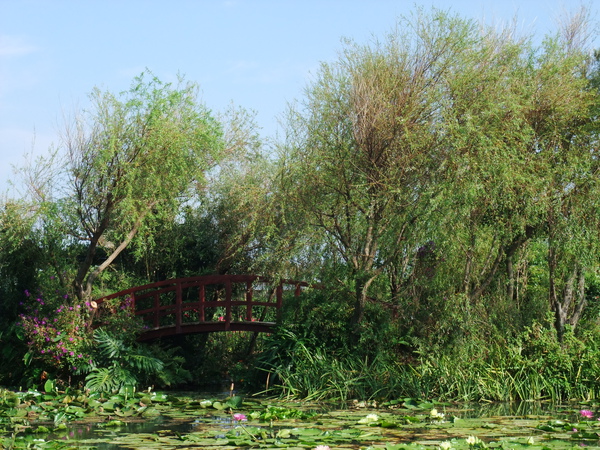 這是以前來過的莫內的花園