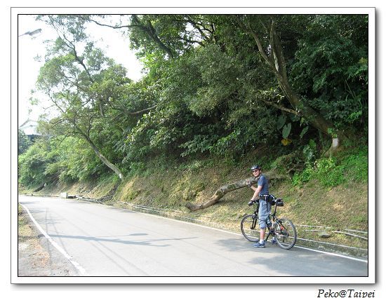 汐碇公路-Peko弟回眸一笑.jpg