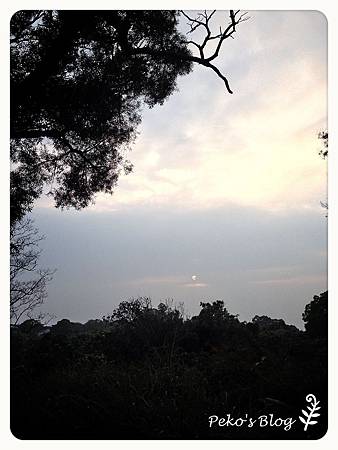 20130214-4-2 20130214-4-2