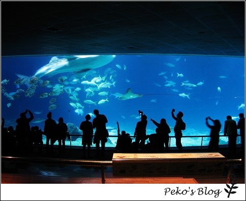 海生館-1.jpg 海生館-1.jpg