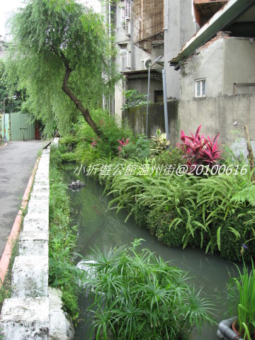 柳樹飄飄.jpg 柳樹飄飄.jpg