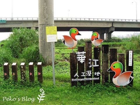 華江人工濕地.jpg 華江人工濕地.jpg