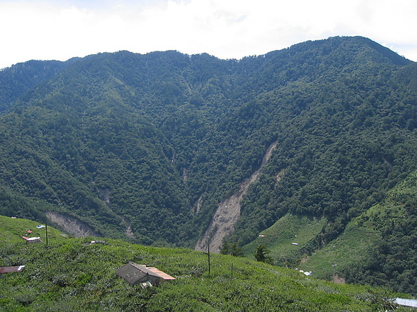 土石流的痕跡