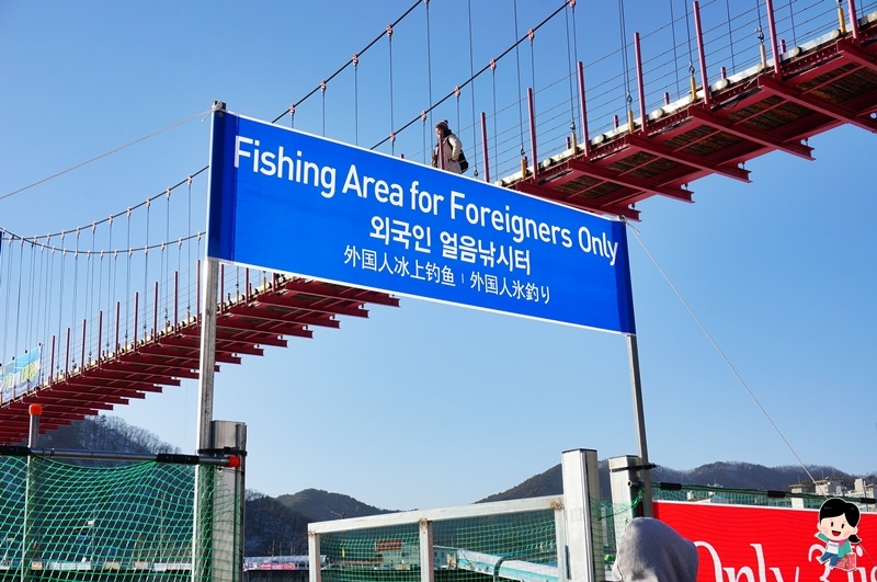 華川山鱒魚慶典.華川鱒魚.華川冰釣.華川釣冰魚.韓國江原道景點.冬季七大奇蹟.雪盆.雪橇. 華川山鱒魚慶典.華川鱒魚.華川冰釣.華川釣冰魚.韓國江原道景點.冬季七大奇蹟.雪盆.雪橇.