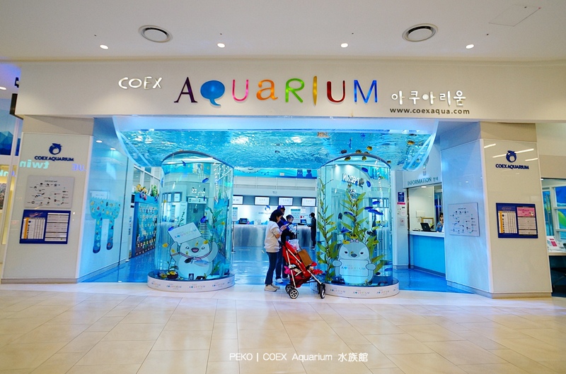 首爾五大地下街.首爾地下街.COEX MALL.COEX書牆.COEX水族館.Aquarium.樂天免稅店.七樂賭場.李敏鎬.SMTOWN.Kakao Friends Store. 首爾五大地下街.首爾地下街.COEX MALL.COEX書牆.COEX水族館.Aquarium.樂天免稅店.七樂賭場.李敏鎬.SMTOWN.Kakao Friends Store.