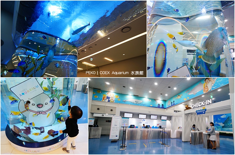 首爾五大地下街.首爾地下街.COEX MALL.COEX書牆.COEX水族館.Aquarium.樂天免稅店.七樂賭場.李敏鎬.SMTOWN.Kakao Friends Store. 首爾五大地下街.首爾地下街.COEX MALL.COEX書牆.COEX水族館.Aquarium.樂天免稅店.七樂賭場.李敏鎬.SMTOWN.Kakao Friends Store.