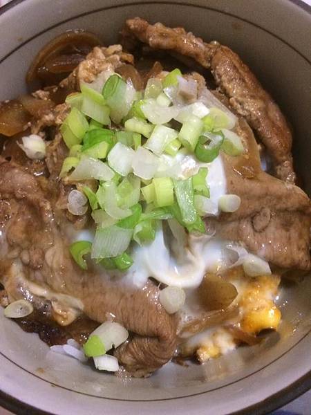 豬肉丼.jpg