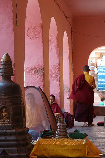 印度佛教聖地