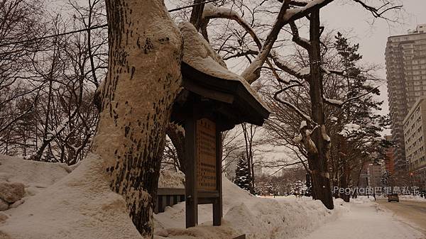 北海道雪景旅行6.JPG