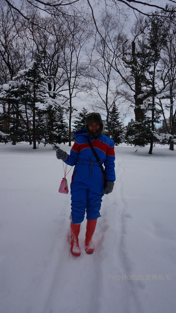 北海道雪景旅行24.JPG