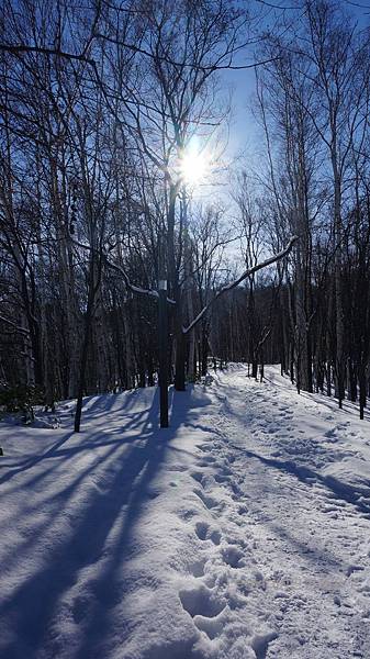 北海道雪景旅行44.JPG