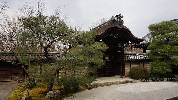 日本京都奈良櫻花旅遊36.JPG