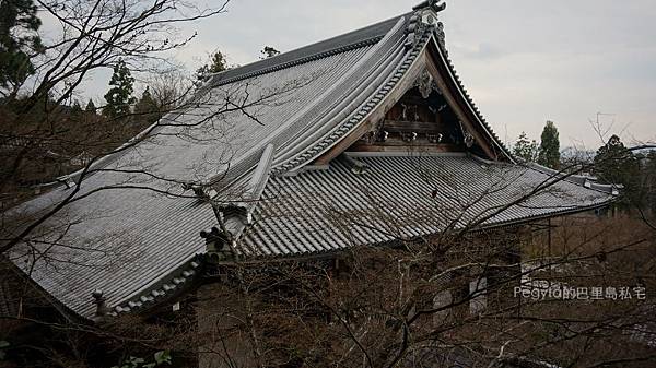 日本京都奈良櫻花旅遊44.JPG