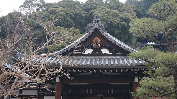 日本京都奈良櫻花旅遊47.JPG