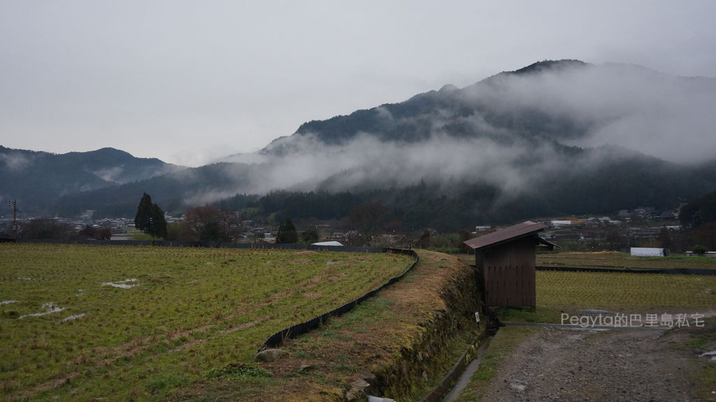 日本京都奈良櫻花旅遊88.JPG