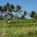 峇里島旅遊旅行海外婚禮推薦102.JPG