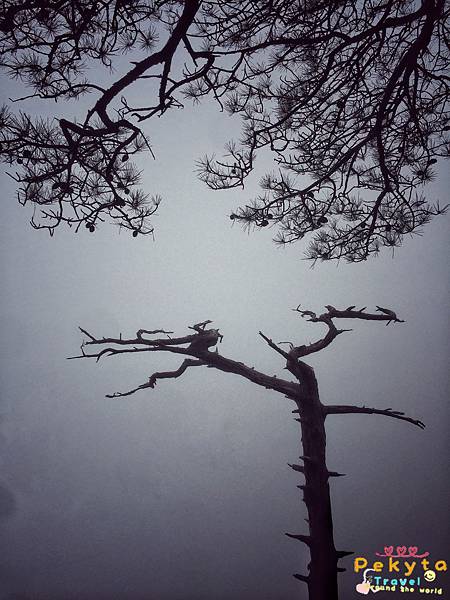 中國江西三清山婺園旅行1120.jpg