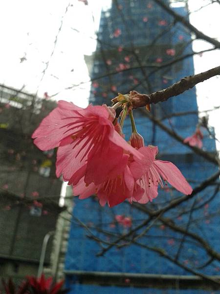 20170131_162834 20170131_162834