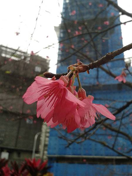 20170131_162850 20170131_162850