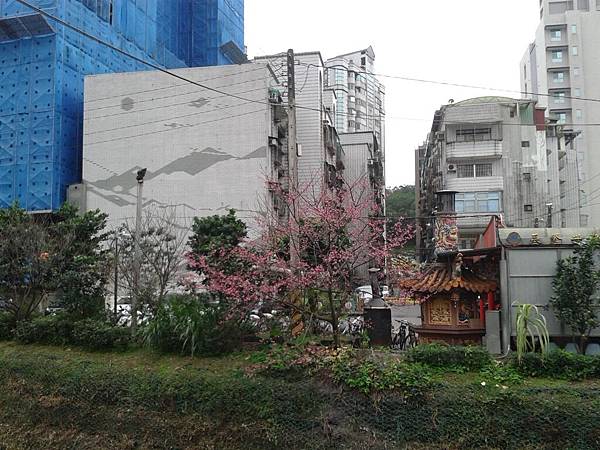 20170131_163027 20170131_163027