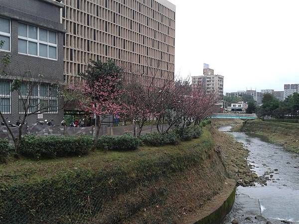 20170131_163143 20170131_163143