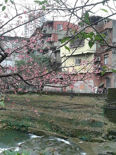 20170131_163256 20170131_163256