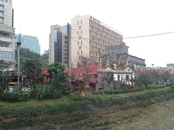 20170131_162955 20170131_162955