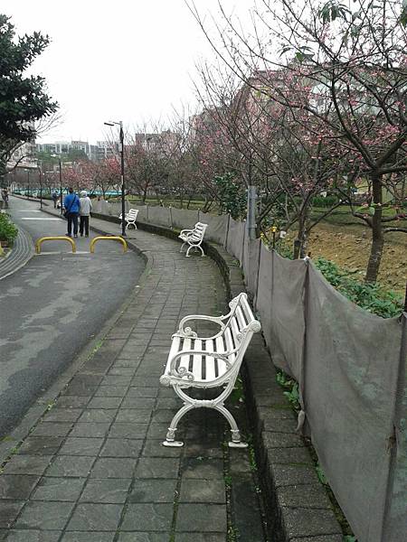 20170131_163231 20170131_163231