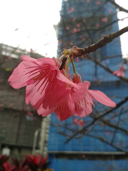 20170131_162845 20170131_162845