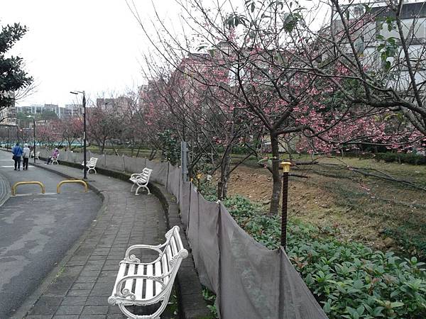 20170131_163240 20170131_163240