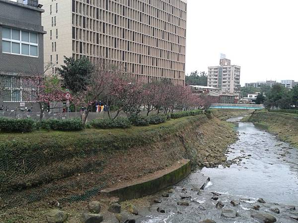 20170131_163119 20170131_163119