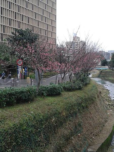 20170131_163154 20170131_163154